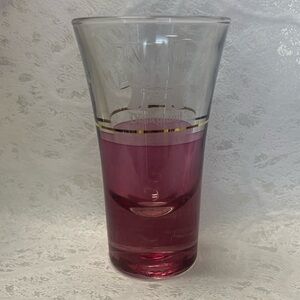Disneyland Tall Shot Glass Etched Inscribed MIKE Pink Tapered